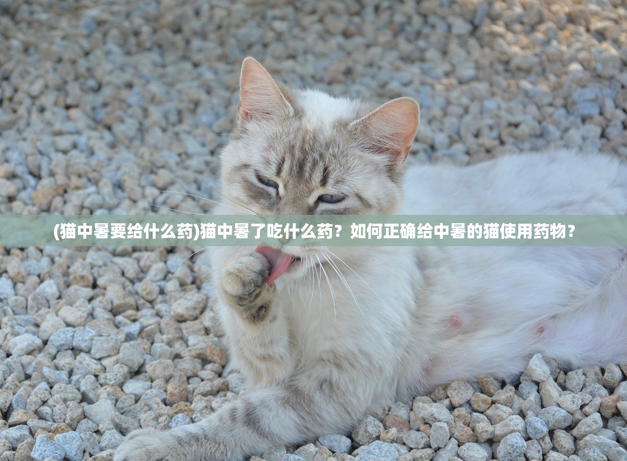 (猫中暑要给什么药)猫中暑了吃什么药？如何正确给中暑的猫使用药物？