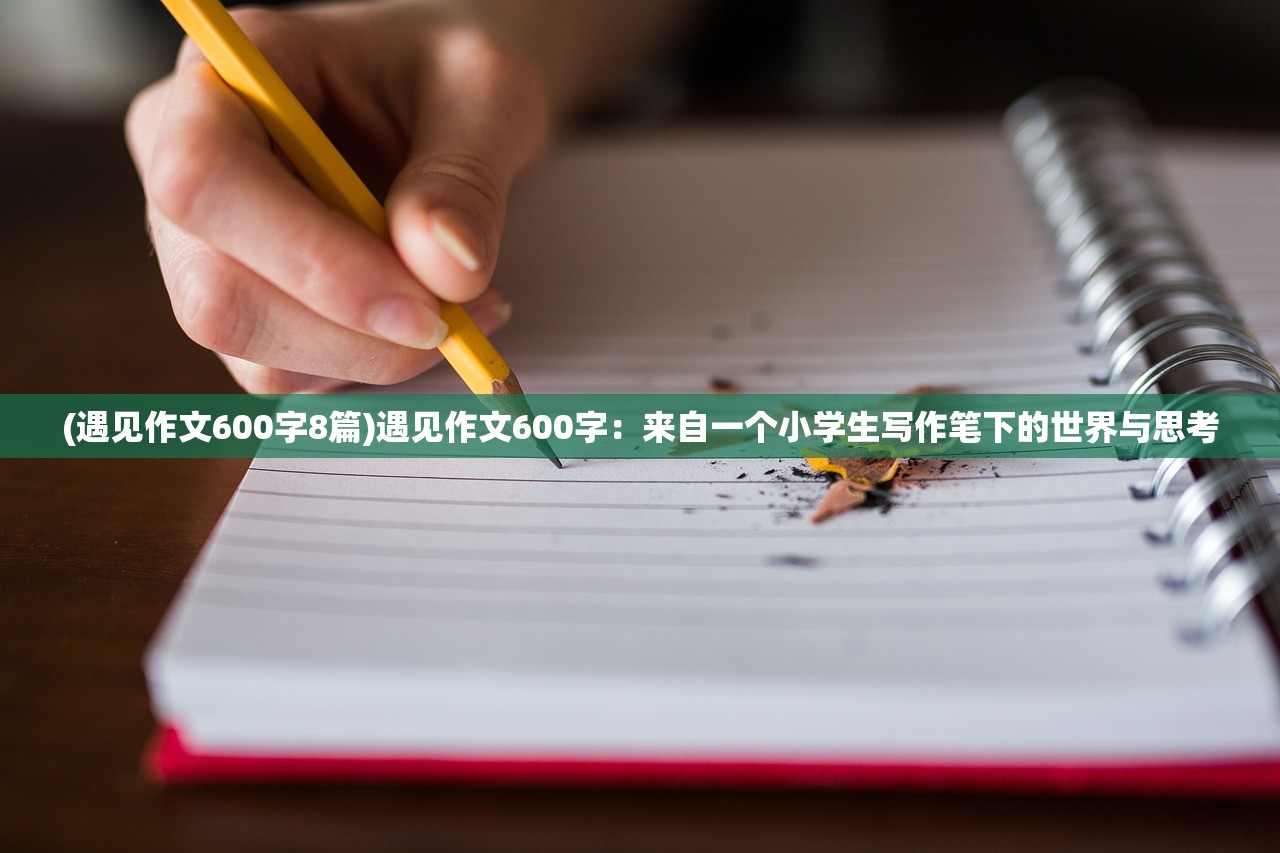 (遇见作文600字8篇)遇见作文600字：来自一个小学生写作笔下的世界与思考