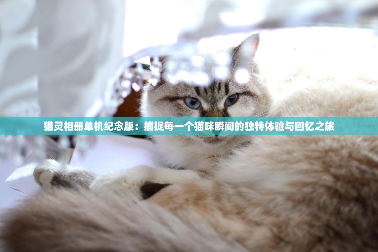 猫灵相册单机纪念版：捕捉每一个猫咪瞬间的独特体验与回忆之旅